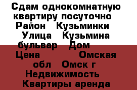 Сдам однокомнатную квартиру посуточно › Район ­ Кузьминки › Улица ­ Кузьмина бульвар › Дом ­ 21 › Цена ­ 1 100 - Омская обл., Омск г. Недвижимость » Квартиры аренда посуточно   